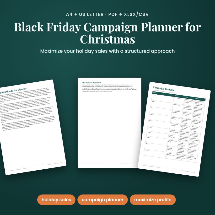 Black Friday Campaign Planner for Christmas | PDF + Excel Spreadsheet